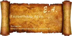 Eszterházy Aliz névjegykártya